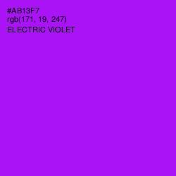 #AB13F7 - Electric Violet Color Image