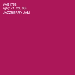 #AB1758 - Jazzberry Jam Color Image