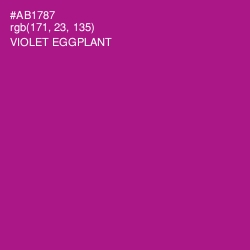 #AB1787 - Violet Eggplant Color Image