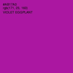 #AB17A0 - Violet Eggplant Color Image