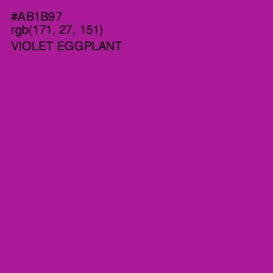 #AB1B97 - Violet Eggplant Color Image