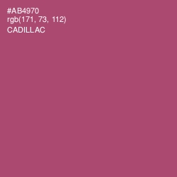 #AB4970 - Cadillac Color Image