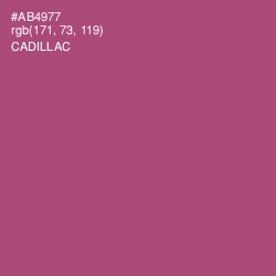 #AB4977 - Cadillac Color Image