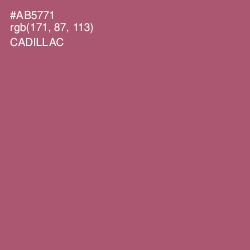 #AB5771 - Cadillac Color Image