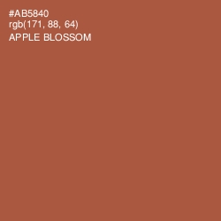 #AB5840 - Apple Blossom Color Image