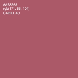 #AB5868 - Cadillac Color Image