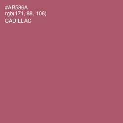 #AB586A - Cadillac Color Image