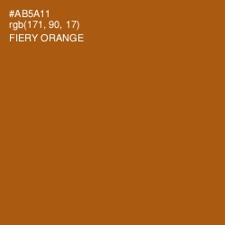 #AB5A11 - Fiery Orange Color Image