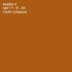 #AB5B14 - Fiery Orange Color Image