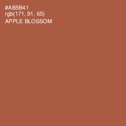 #AB5B41 - Apple Blossom Color Image