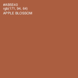 #AB5E40 - Apple Blossom Color Image