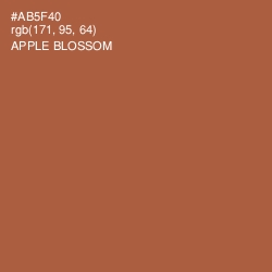 #AB5F40 - Apple Blossom Color Image