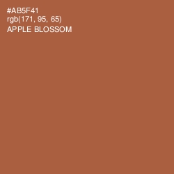 #AB5F41 - Apple Blossom Color Image