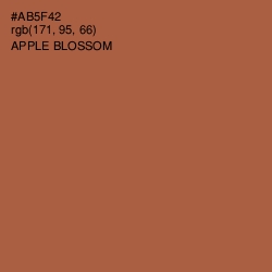 #AB5F42 - Apple Blossom Color Image