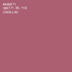 #AB5F71 - Cadillac Color Image