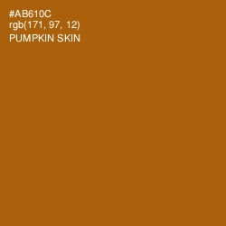 #AB610C - Pumpkin Skin Color Image