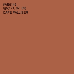 #AB6145 - Cape Palliser Color Image