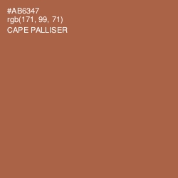 #AB6347 - Cape Palliser Color Image