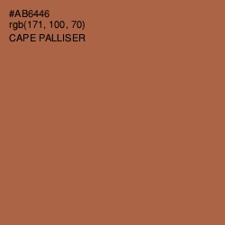 #AB6446 - Cape Palliser Color Image