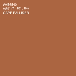 #AB6540 - Cape Palliser Color Image