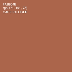 #AB654B - Cape Palliser Color Image