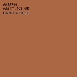 #AB6744 - Cape Palliser Color Image