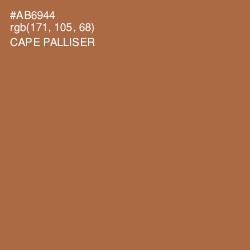 #AB6944 - Cape Palliser Color Image