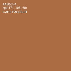 #AB6C44 - Cape Palliser Color Image