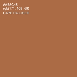 #AB6C45 - Cape Palliser Color Image