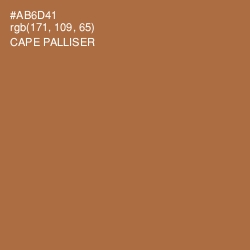 #AB6D41 - Cape Palliser Color Image