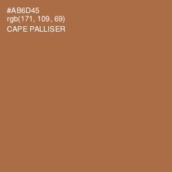 #AB6D45 - Cape Palliser Color Image