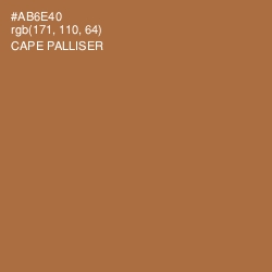 #AB6E40 - Cape Palliser Color Image