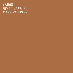 #AB6E44 - Cape Palliser Color Image