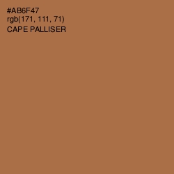#AB6F47 - Cape Palliser Color Image