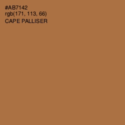 #AB7142 - Cape Palliser Color Image