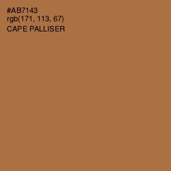 #AB7143 - Cape Palliser Color Image