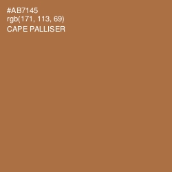 #AB7145 - Cape Palliser Color Image