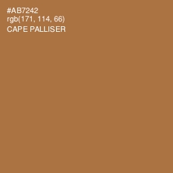 #AB7242 - Cape Palliser Color Image