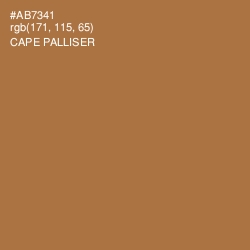 #AB7341 - Cape Palliser Color Image