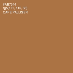 #AB7344 - Cape Palliser Color Image