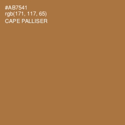 #AB7541 - Cape Palliser Color Image