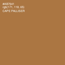 #AB7641 - Cape Palliser Color Image