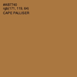 #AB7740 - Cape Palliser Color Image