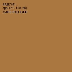 #AB7741 - Cape Palliser Color Image