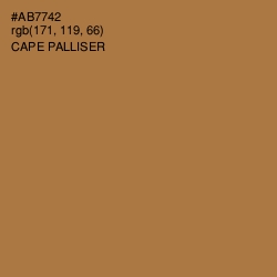 #AB7742 - Cape Palliser Color Image