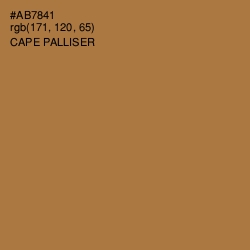 #AB7841 - Cape Palliser Color Image