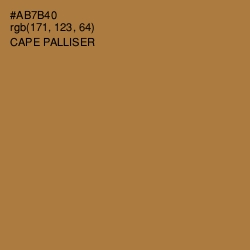 #AB7B40 - Cape Palliser Color Image