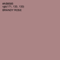 #AB8585 - Brandy Rose Color Image