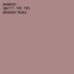 #AB8787 - Brandy Rose Color Image