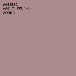 #AB8B8C - Zorba Color Image
